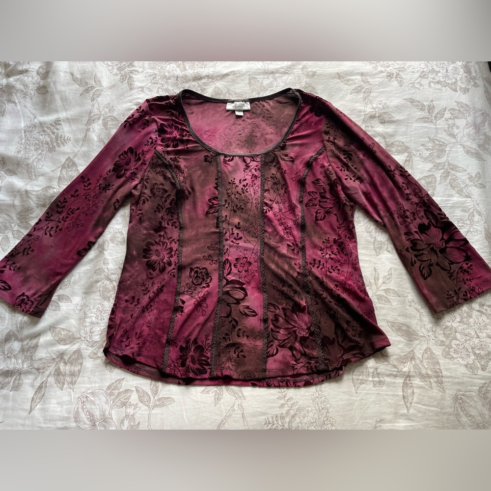 Dress Barn Brown Pink Velvet Paisley‎ Blouse Large Vamp Witchy Boho Whimsigoth